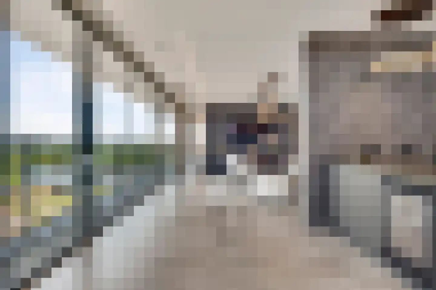 Hanssum 41 p Neer thumbnail 52