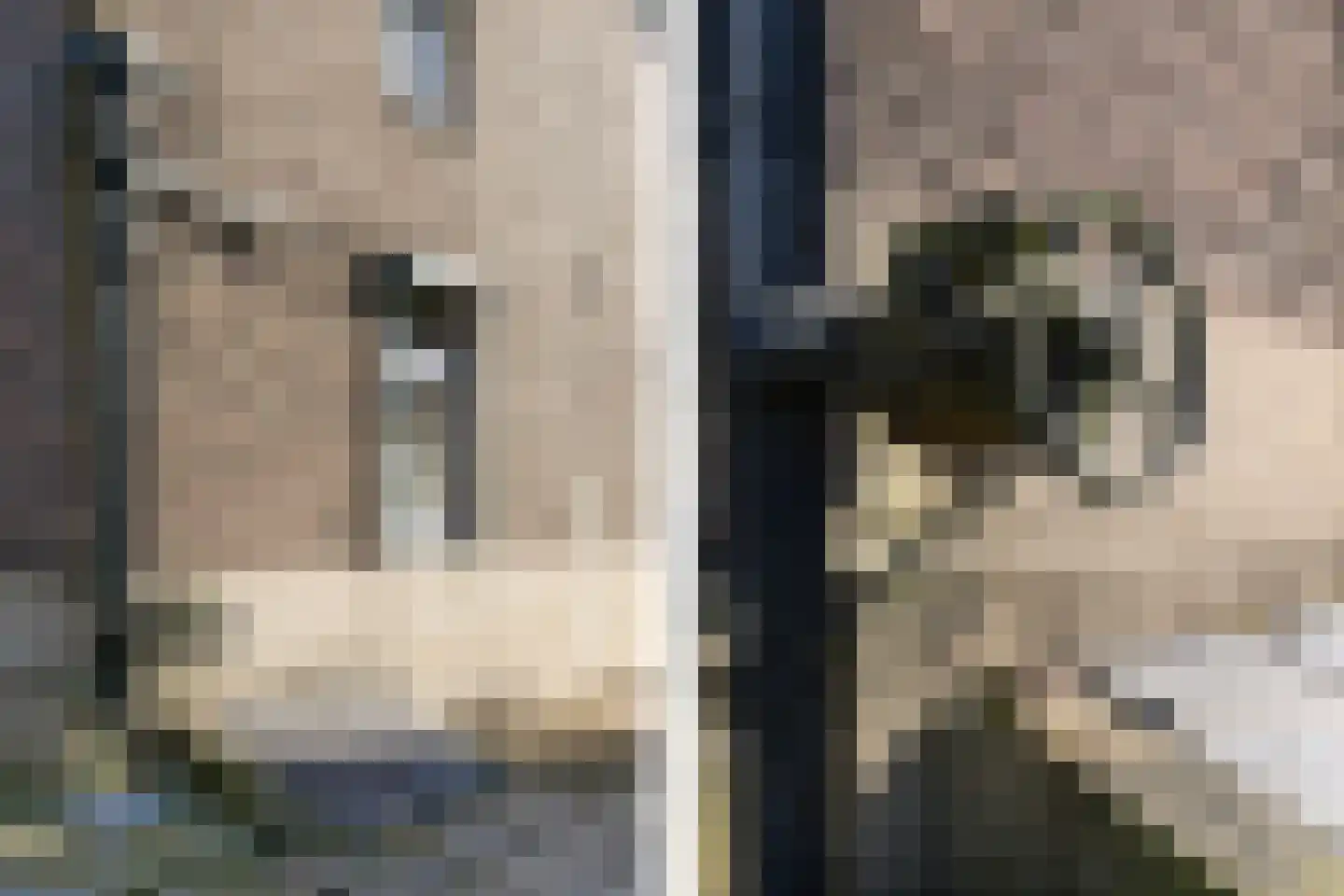 Hanssum 42 Neer thumbnail 13