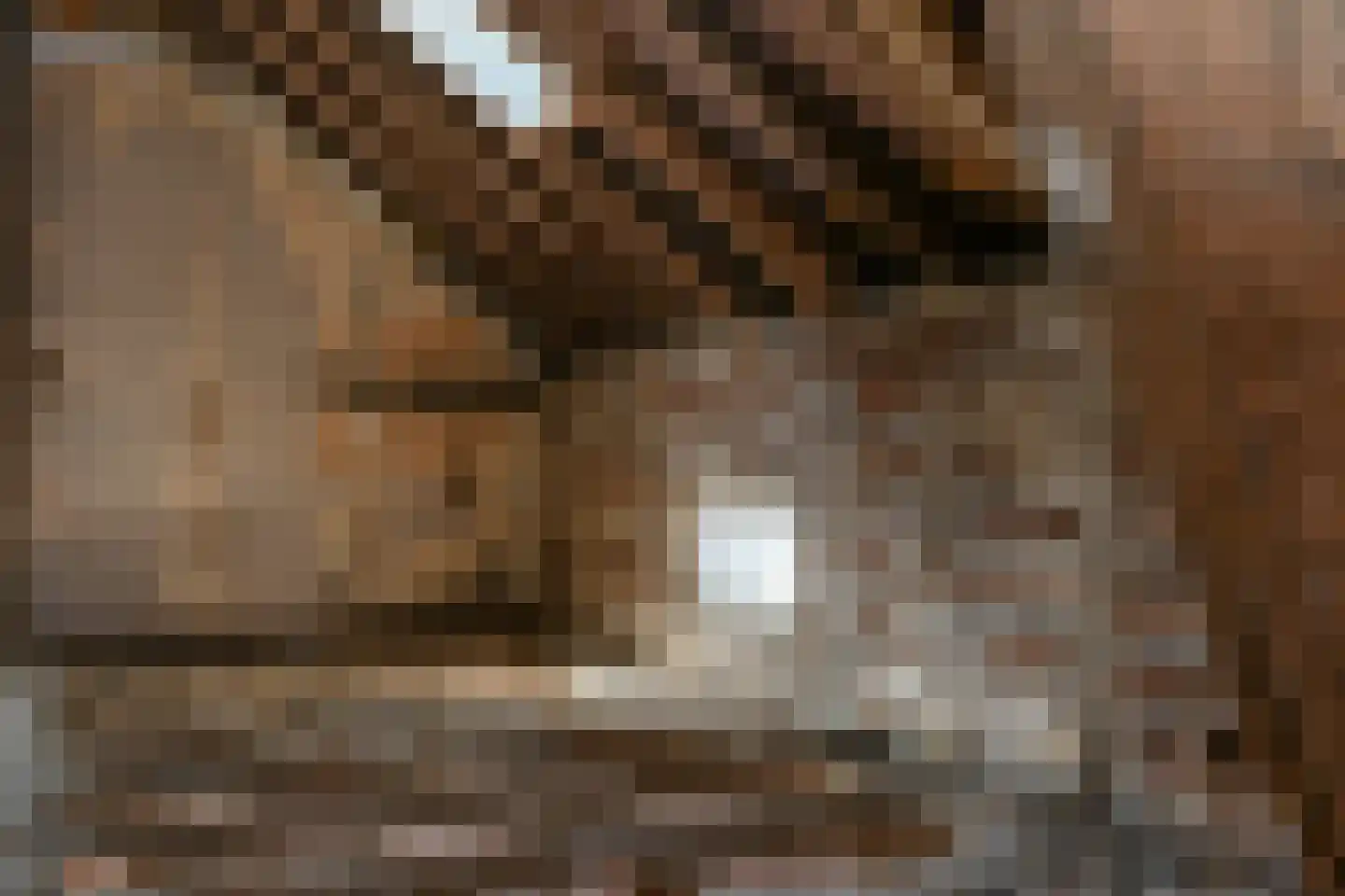 Hanssum 42 Neer thumbnail 29