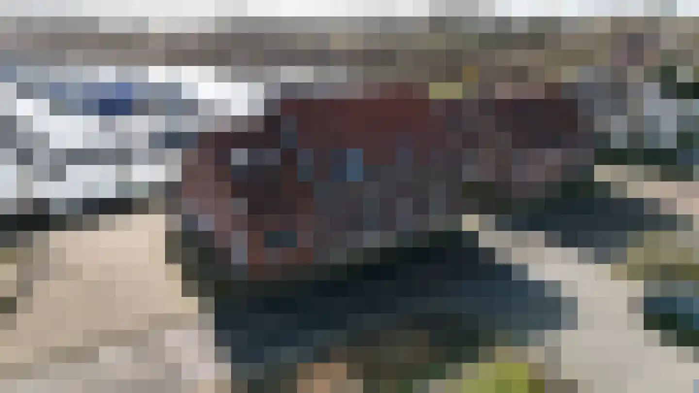 Hanssum 42 Neer thumbnail 59