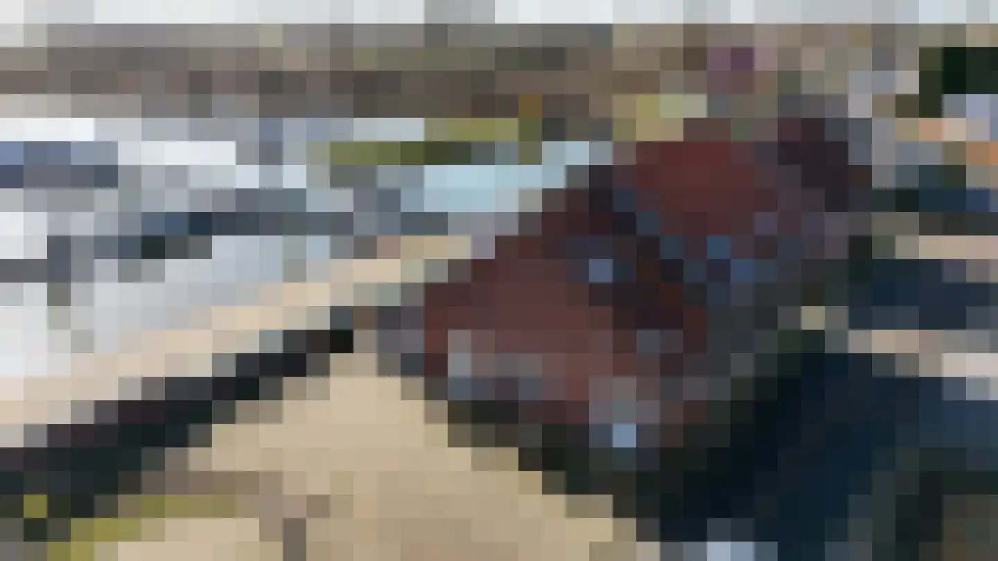 Hanssum 42 Neer thumbnail 60