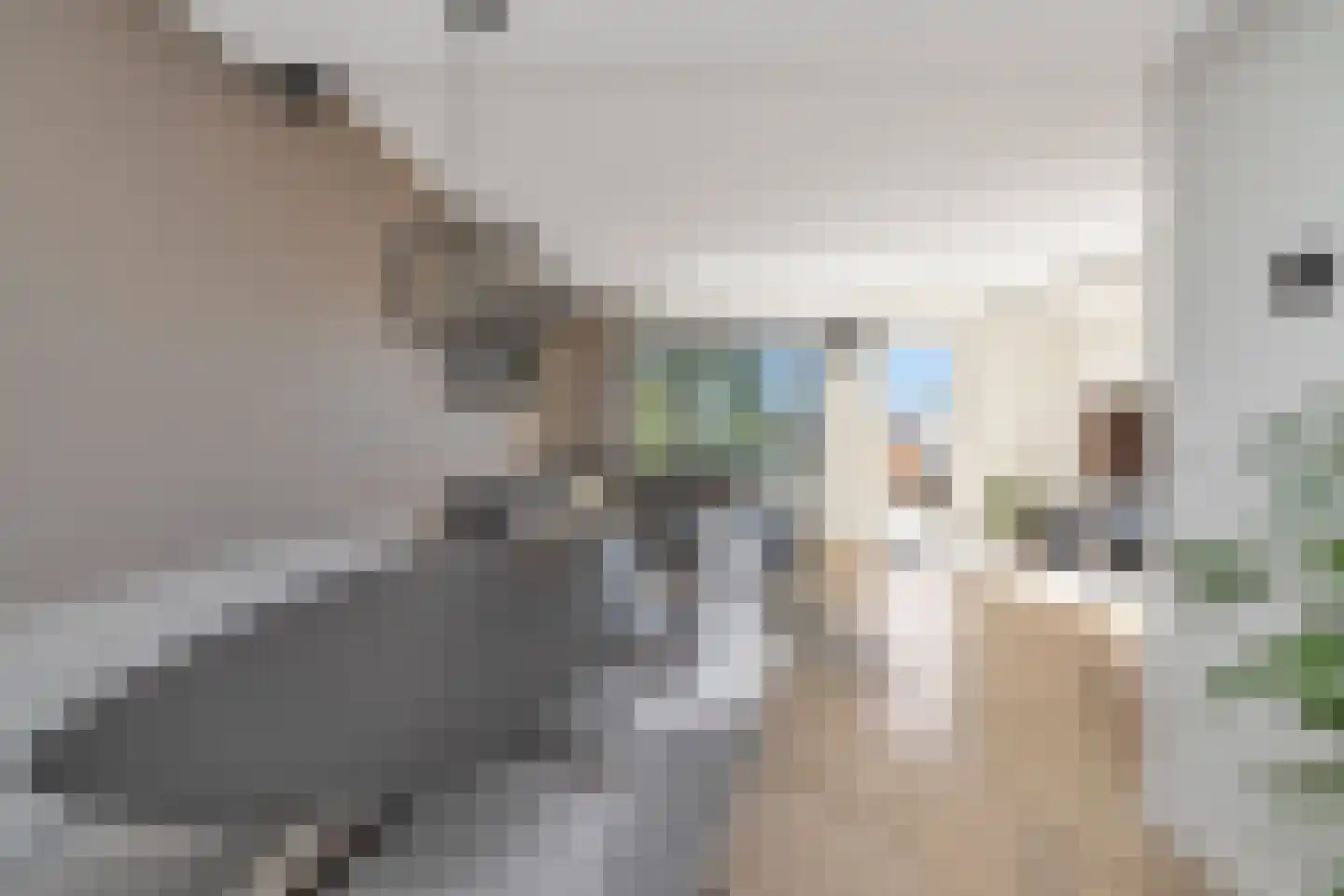 Hanstholm 26 Hoofddorp thumbnail 14