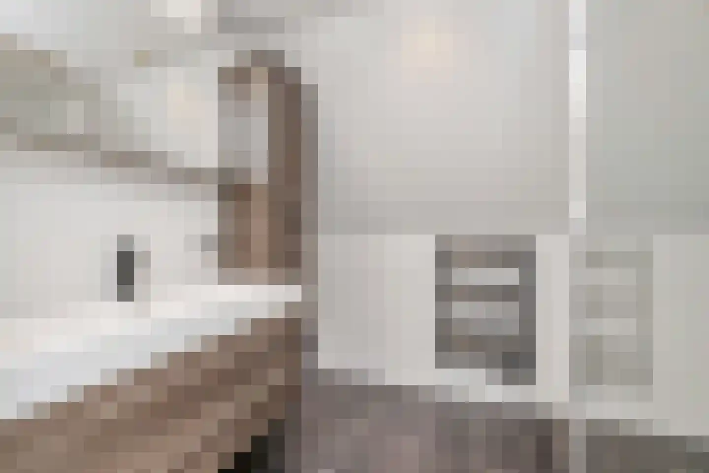 Hanstholm 26 Hoofddorp thumbnail 25