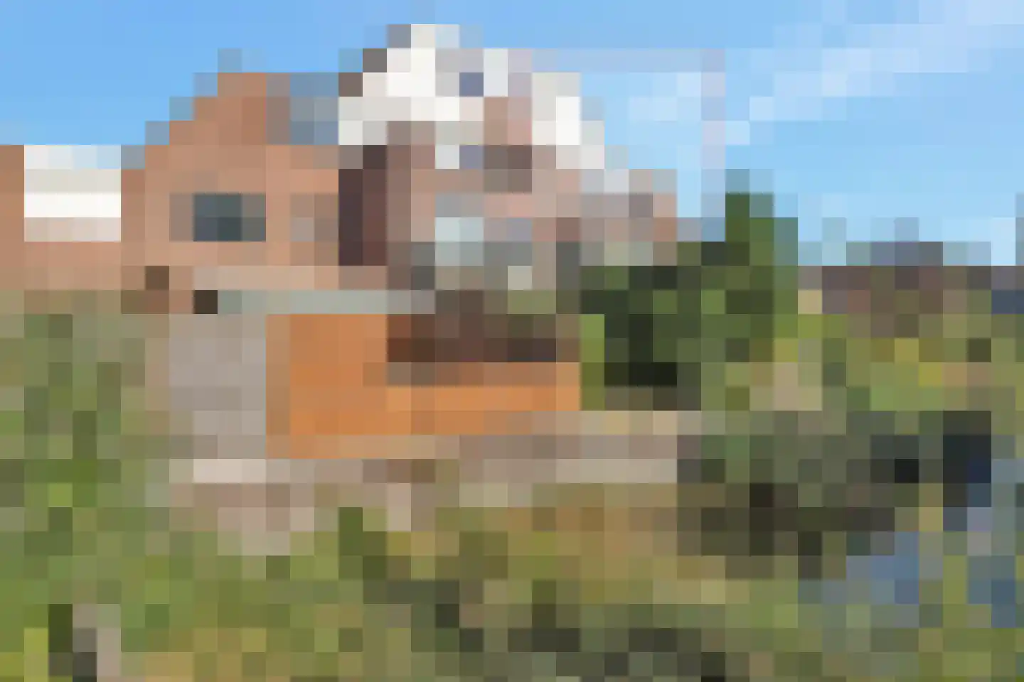 Hanstholm 26 Hoofddorp thumbnail 39