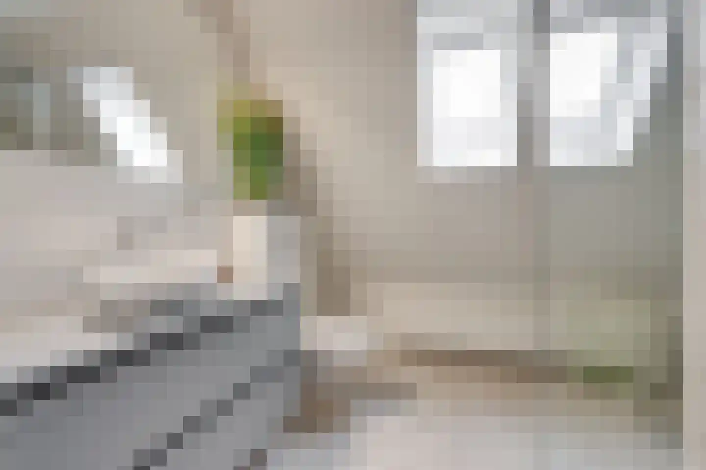 Hanstholm 6 Hoofddorp thumbnail 22