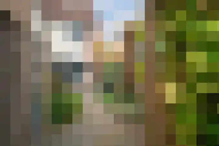 Hantermansstraat 35 Almelo thumbnail 13