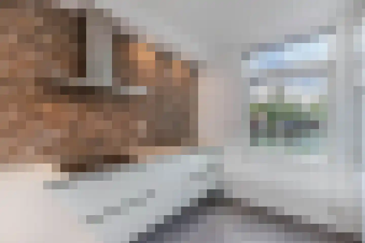 Hanumanpad 12 Almere thumbnail 12