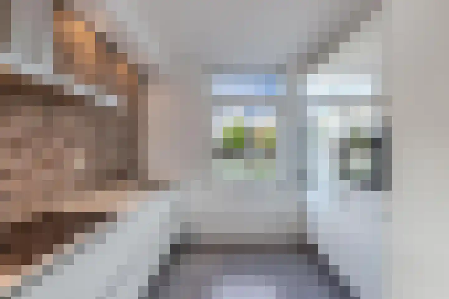 Hanumanpad 12 Almere thumbnail 13