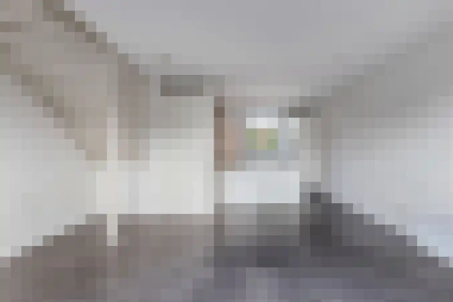 Hanumanpad 12 Almere thumbnail 9