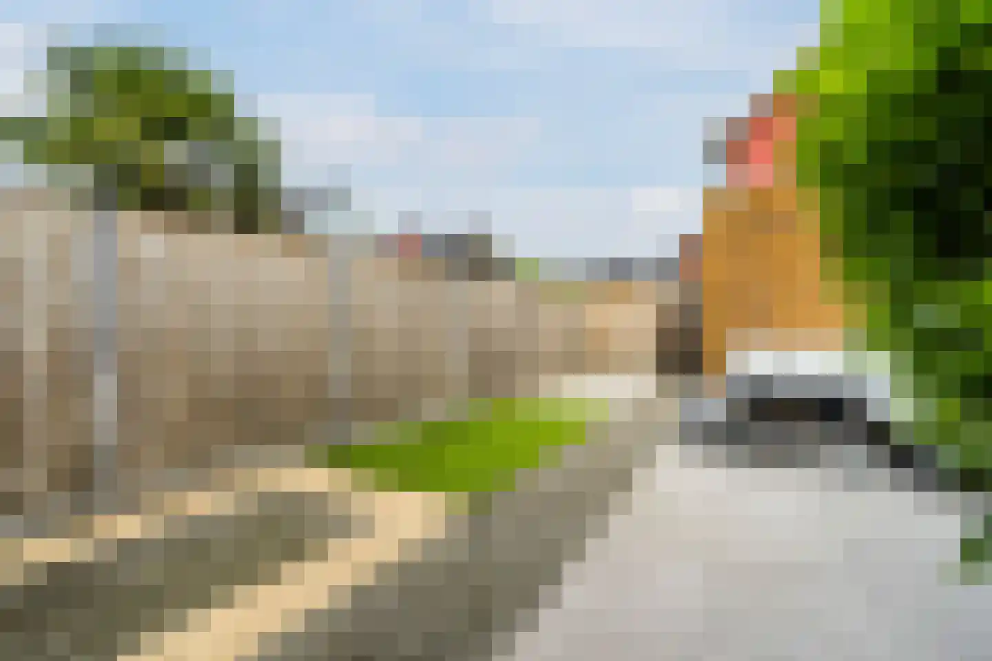 Hanzeboulevard 115 Hooglanderveen thumbnail 30