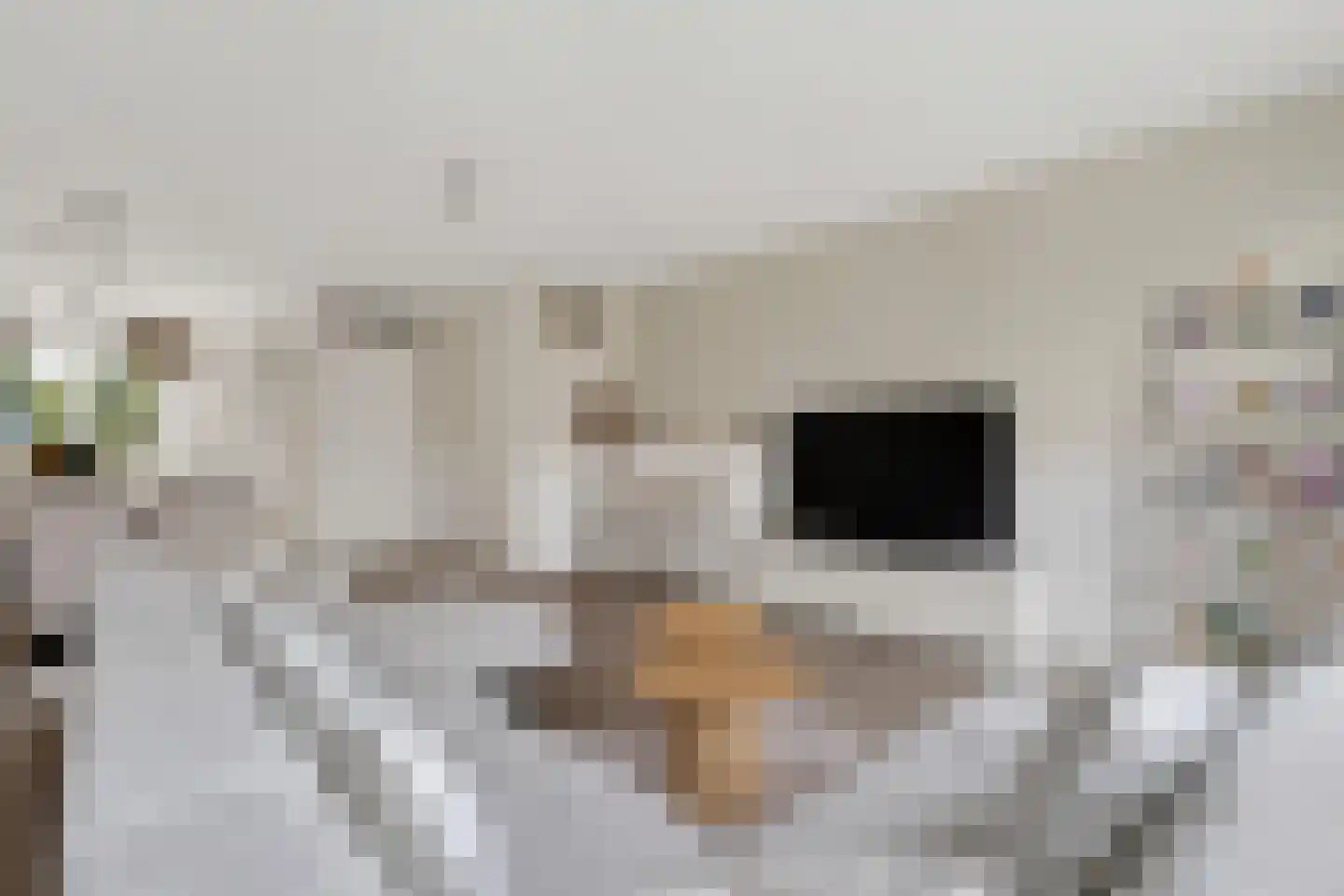Hanzeboulevard 115 Hooglanderveen thumbnail 8