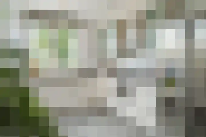 Hanzeboulevard 117 Hooglanderveen thumbnail 15