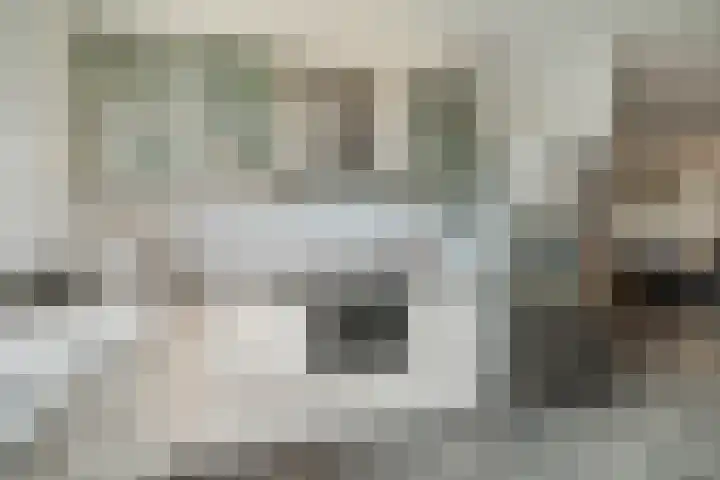 Hanzeboulevard 117 Hooglanderveen thumbnail 17