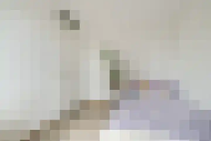 Hanzeboulevard 117 Hooglanderveen thumbnail 29