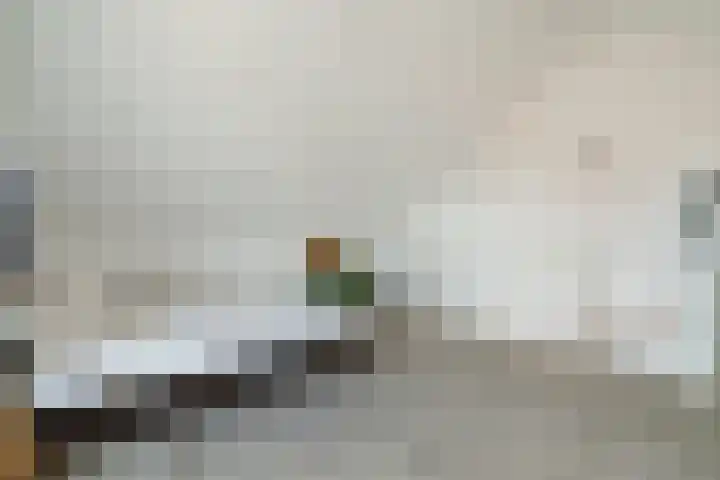Hanzeboulevard 117 Hooglanderveen thumbnail 38