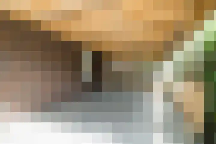 Hanzeboulevard 117 Hooglanderveen thumbnail 45