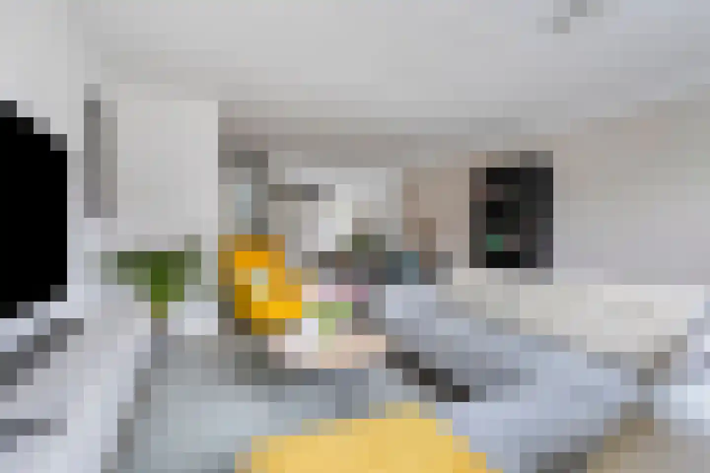 Hanzeboulevard 133 Hooglanderveen thumbnail 10