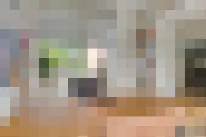 Hanzeboulevard 43 D Hooglanderveen thumbnail 11