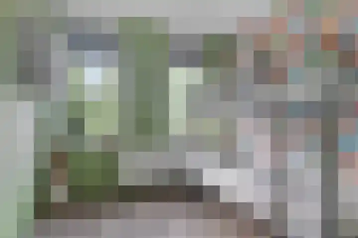 Hanzeboulevard 43 D Hooglanderveen thumbnail 21