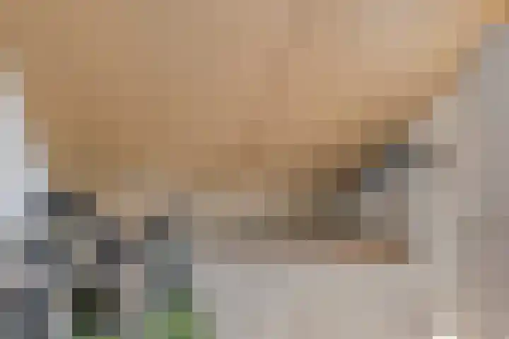 Hanzeboulevard 43 D Hooglanderveen thumbnail 26