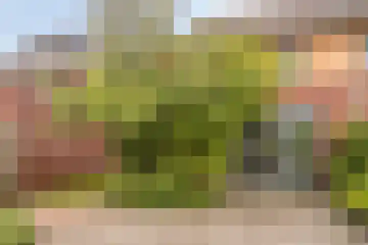 Hanzeboulevard 43 D Hooglanderveen thumbnail 28
