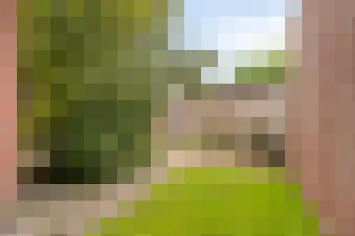 Hanzeboulevard 43 D Hooglanderveen thumbnail 29