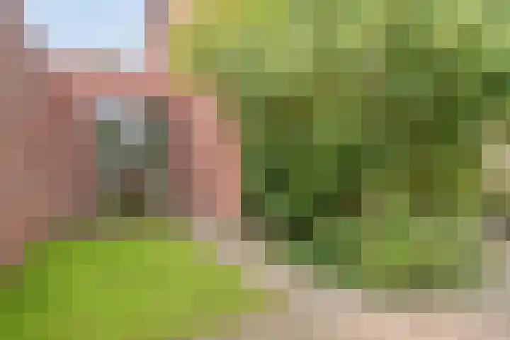 Hanzeboulevard 43 D Hooglanderveen thumbnail 30