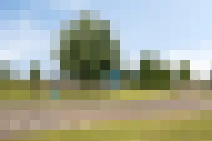 Hanzeboulevard 43 D Hooglanderveen thumbnail 31