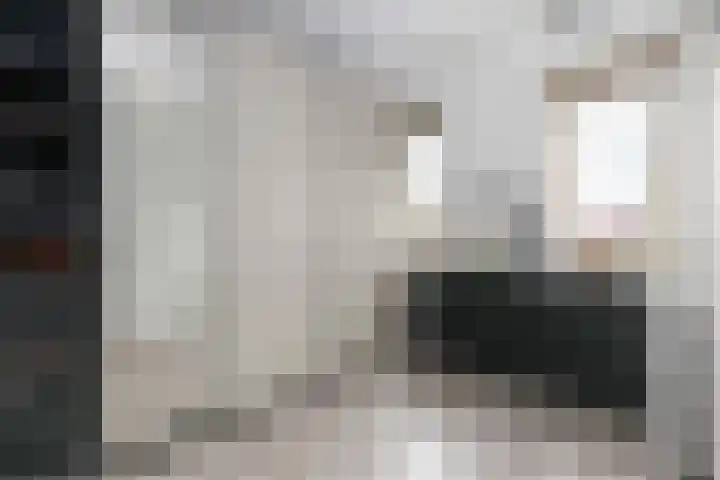 Hanzeboulevard 61 Hooglanderveen thumbnail 21