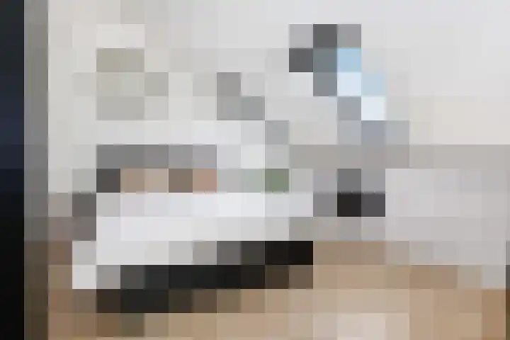 Hanzeboulevard 61 Hooglanderveen thumbnail 26