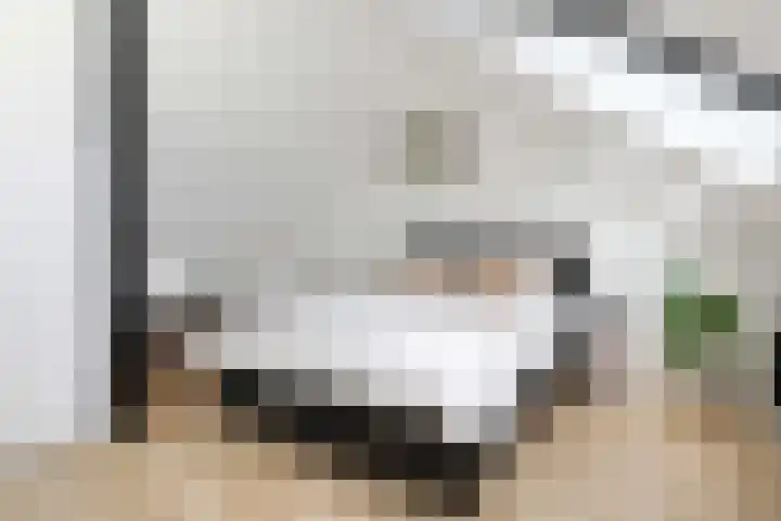 Hanzeboulevard 61 Hooglanderveen thumbnail 27