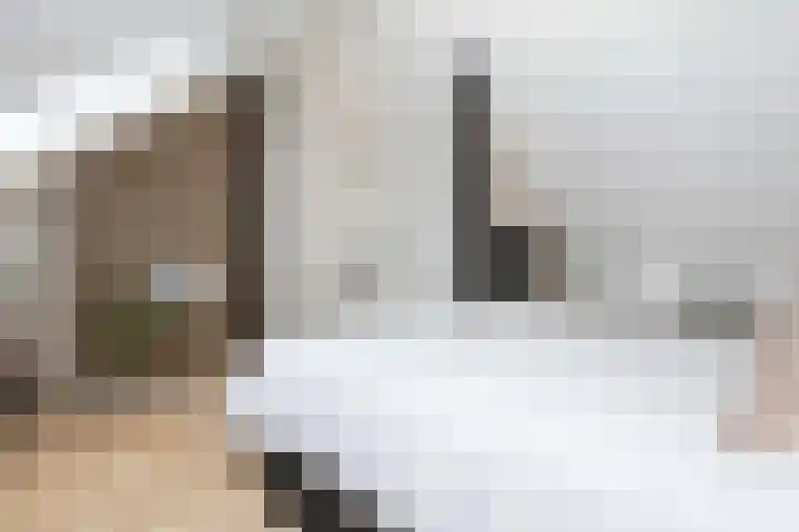 Hanzeboulevard 61 Hooglanderveen thumbnail 28