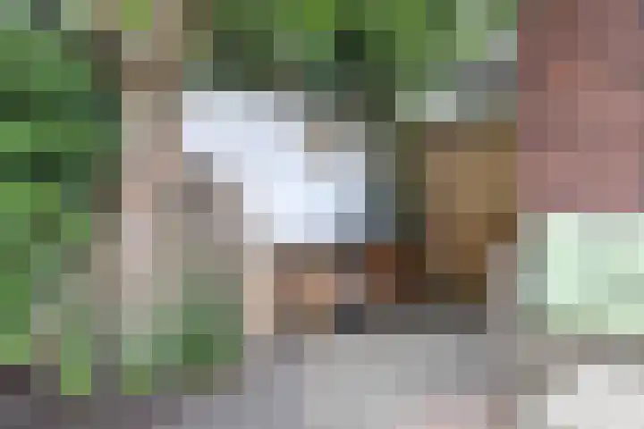 Hanzeboulevard 61 Hooglanderveen thumbnail 30