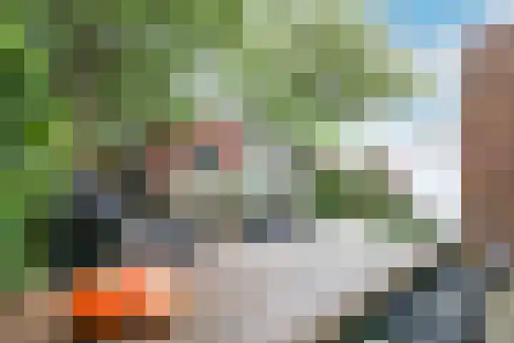 Hanzeboulevard 61 Hooglanderveen thumbnail 31
