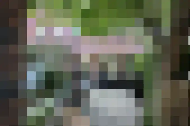 Hanzeboulevard 61 Hooglanderveen thumbnail 33