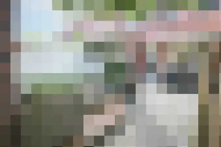 Hanzeboulevard 61 Hooglanderveen thumbnail 34