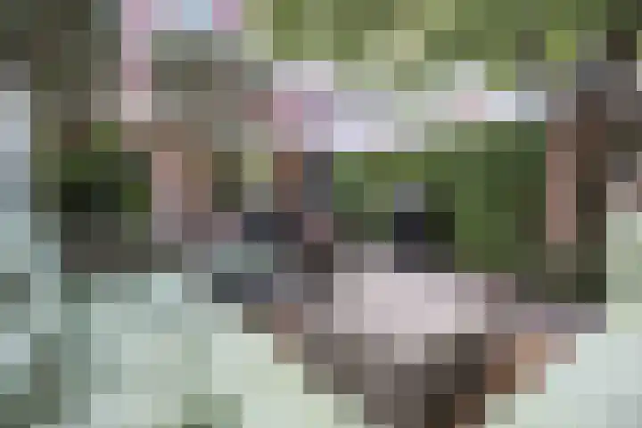 Hanzeboulevard 61 Hooglanderveen thumbnail 35
