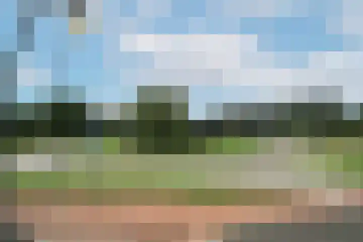 Hanzeboulevard 61 Hooglanderveen thumbnail 39