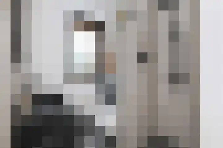 Hanzeboulevard 61 Hooglanderveen thumbnail 4