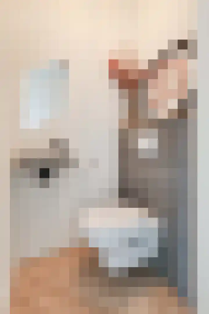 Hanzeboulevard 61 Hooglanderveen thumbnail 8