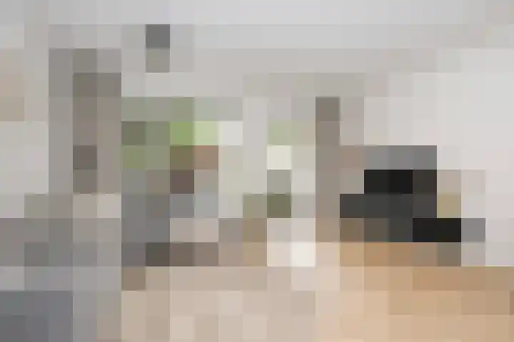 Hanzeboulevard 61 Hooglanderveen thumbnail 9