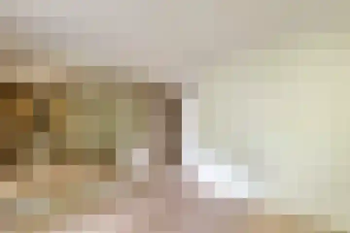 Hanzehof 16 Tiel thumbnail 11