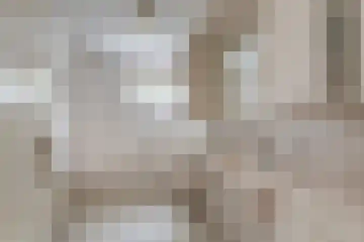 Hanzehof 16 Tiel thumbnail 12
