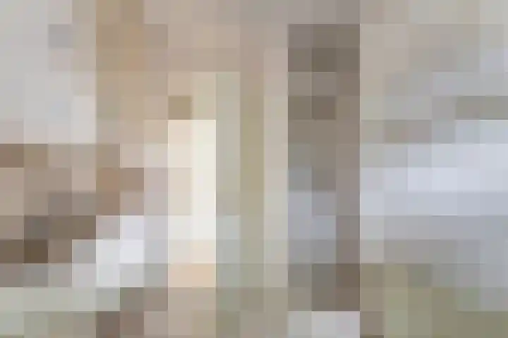 Hanzehof 16 Tiel thumbnail 13