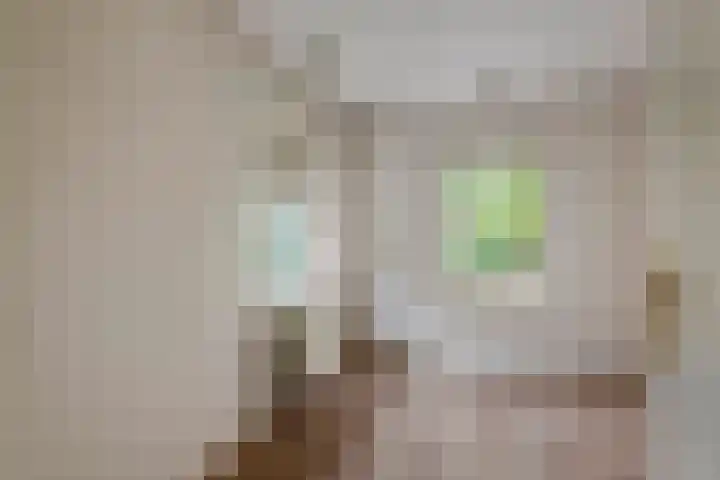 Hanzehof 16 Tiel thumbnail 14