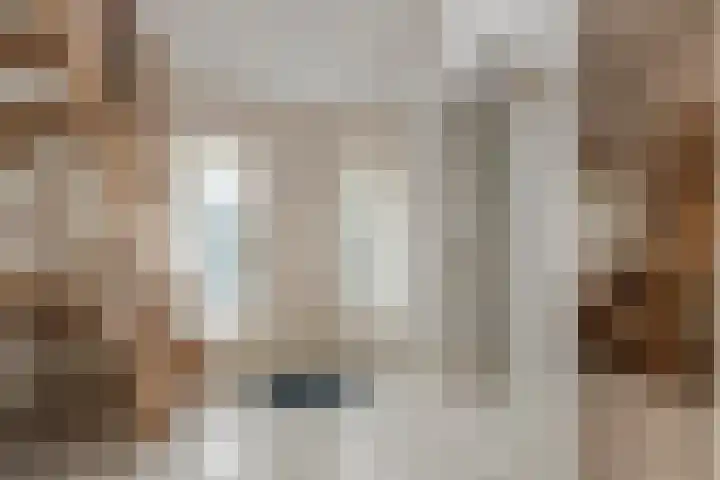 Hanzehof 16 Tiel thumbnail 15