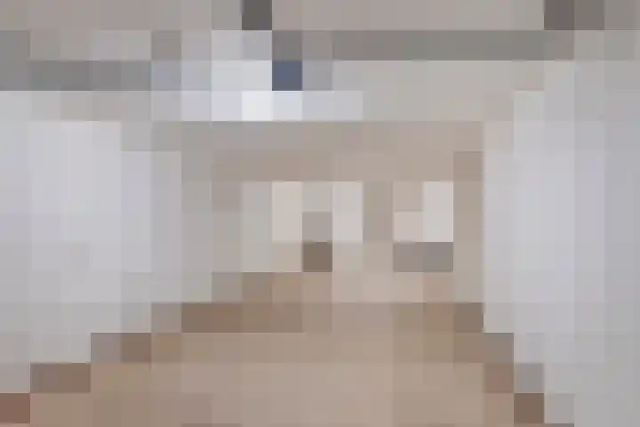 Hanzehof 16 Tiel thumbnail 18