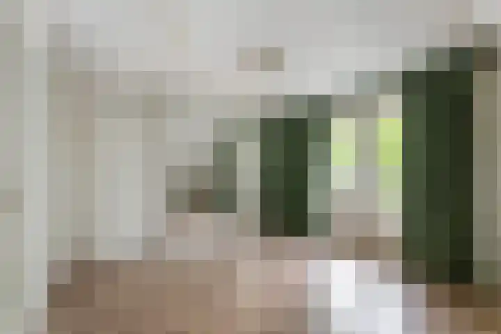 Hanzehof 16 Tiel thumbnail 19
