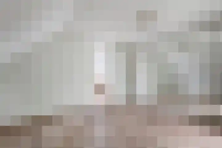 Hanzehof 16 Tiel thumbnail 20