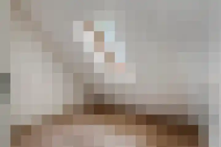 Hanzehof 16 Tiel thumbnail 24